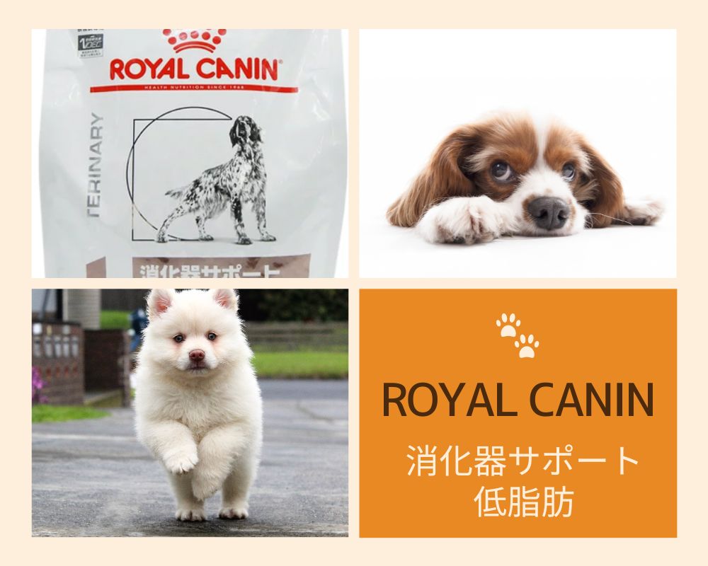 ROYAL CANIN 消化器サポート低脂肪